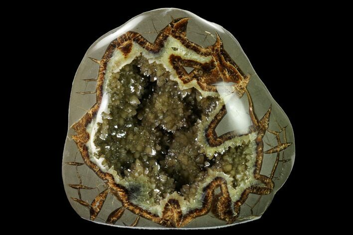 Polished, Crystal Filled Septarian Nodule - Utah #170008